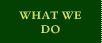 What We Do